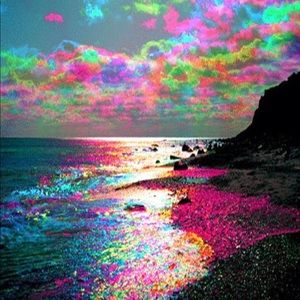 Meet your Posher, Priscilla